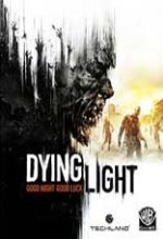 消逝的光芒白金版中文版 