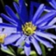 Visual SlideShow 1.7