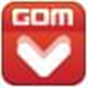 GOM Audio Pl