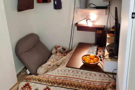 爸爸的游戏秘密基地被征收