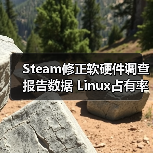 Steam修正软硬件调查