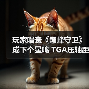 玩家唱衰《巅峰守卫》成下个星鸣 TGA压轴距发售零宣发（图4）