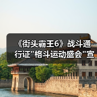 《街头霸王6》战斗通行证 《街头霸王6》战斗通行证