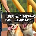 《完美音浪》实体版终降临!三版本1月16日开启预购(图4) 《完美音浪》实体版终降临!三版本1月16日开启预购(图4)