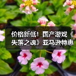 价格新低！国产游戏《失落之魂》亚马逊特惠开启（图3）