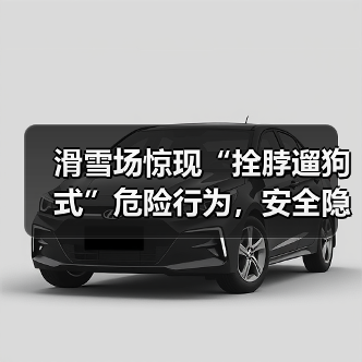 滑雪场惊现“拴脖遛狗式”危险行为,安全隐患引热议(图4) 滑雪场惊现“拴脖遛狗式”危险行为,安全隐患引热议(图4)