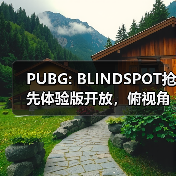 PUBG: BLIN