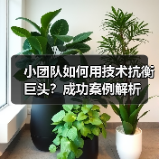 小团队如何用技术抗衡巨头