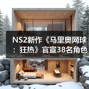 NS2新作《马里奥网