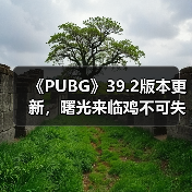 《PUBG》39.2
