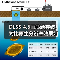 DLSS 4.5画质新突破:对比原生分辨率效果如何?(图3) DLSS 4.5画质新突破:对比原生分辨率效果如何?(图3)