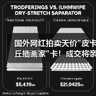 国外网红拍卖天价 国外网红拍卖天价