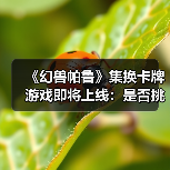 《幻兽帕鲁》集换卡牌游戏即将上线:是否挑战宝可梦?(图4) 《幻兽帕鲁》集换卡牌游戏即将上线:是否挑战宝可梦?(图4)