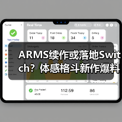 ARMS续作或落地Switch？体感格斗新作爆料（图4）