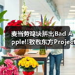 麦当劳鸡块拼出Bad Apple!!致敬东方Project（图3）