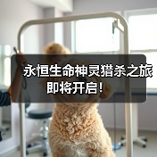 永恒生命神灵猎杀之旅即将开启!(图4) 永恒生命神灵猎杀之旅即将开启!(图4)