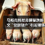 马斯克转发育碧暴跌推文 