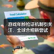 游戏年龄验证机制引关注,全球合规新尝试(图3) 游戏年龄验证机制引关注,全球合规新尝试(图3)