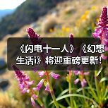 《闪电十一人》《幻想生活i》将迎重磅更新！新内容曝光（图2）