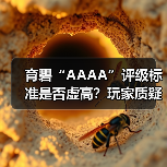 育碧“AAAA”评级标准
