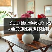 《无尽地牢终极版》P