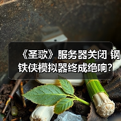 《圣歌》服务器关闭 钢铁侠模拟器终成绝响？（图2）