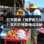 红牛限量《俄罗斯方块》掌机价格翻倍成稀缺商品（图2）