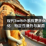 双代Switch系统更新优化：稳定性提升与漏洞修复（图2）