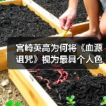 宫崎英高为何将《血源诅咒》视为最具个人色彩的作品?(图2) 宫崎英高为何将《血源诅咒》视为最具个人色彩的作品?(图2)