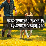 窥探你宠物的内心世界:解读宠物心理图片的奥秘(图4) 窥探你宠物的内心世界:解读宠物心理图片的奥秘(图4)