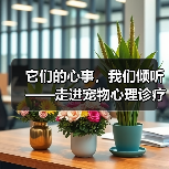 它们的心事，我们倾听